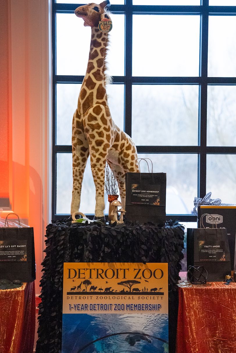 Night of Hope 2024 – 6